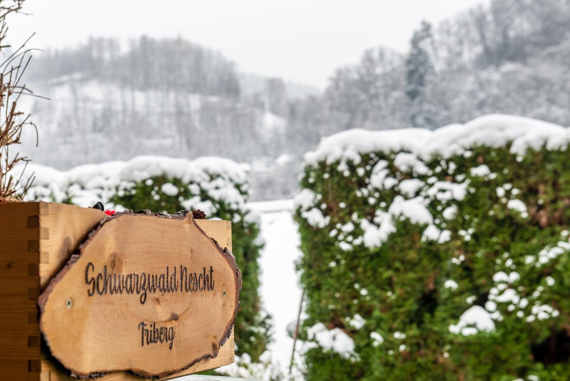 Schwarzwald Nescht Triberg Apartment Triberg im Schwarzwald Bagian luar foto