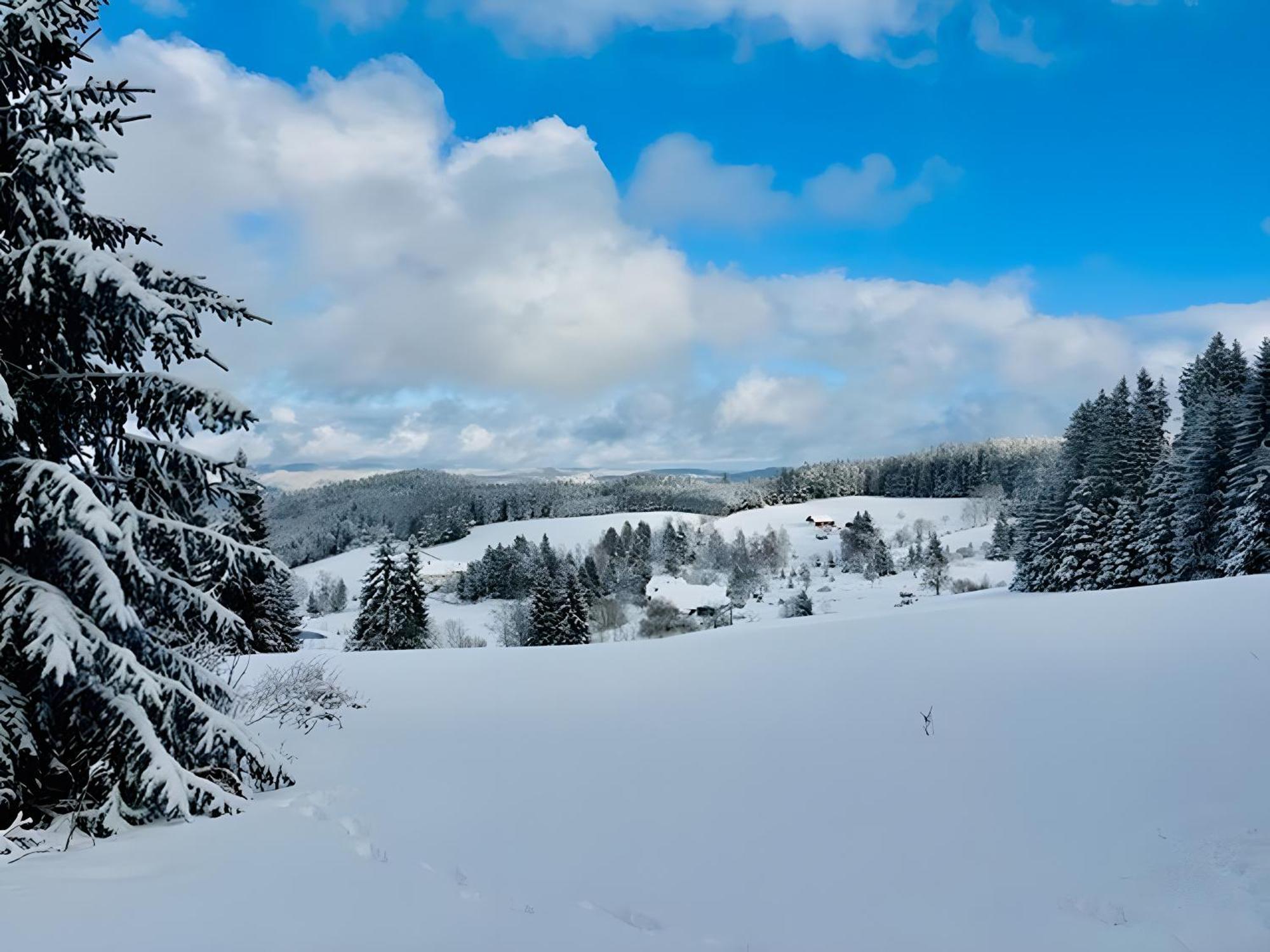 Schwarzwald Nescht Triberg Apartment Triberg im Schwarzwald Bagian luar foto